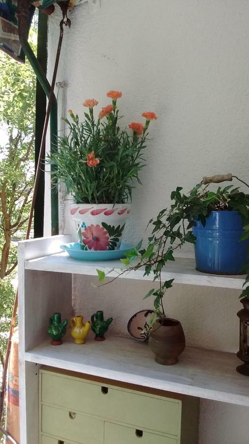 Apartamento La Bombilla Appartamento *